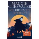Stiefvater, Maggie - Dreamer-Trilogie (3) Wie die Nacht...